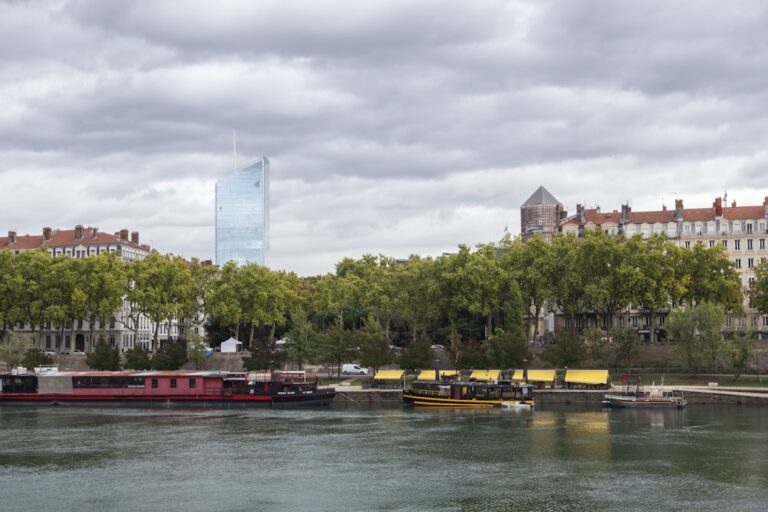 Les Tendances Émergentes en Matière d&rsquo;Avis Google en 2025